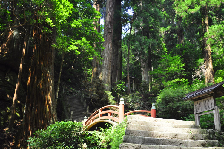 室生寺・奥の院奥の院に続く道