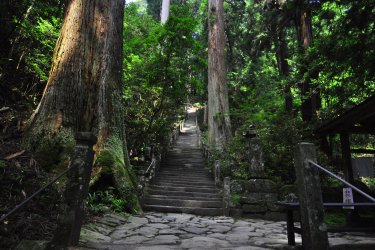 室生寺・奥の院に続く道