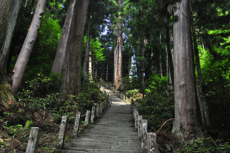 室生寺・奥の院に続く道