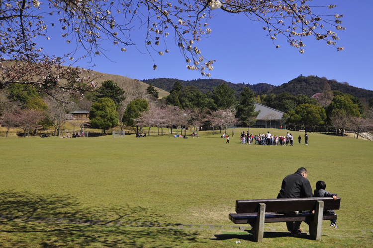 奈良公園から見える若草山と春日山
