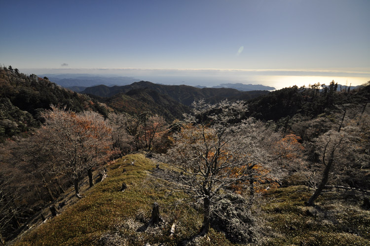 大台ヶ原