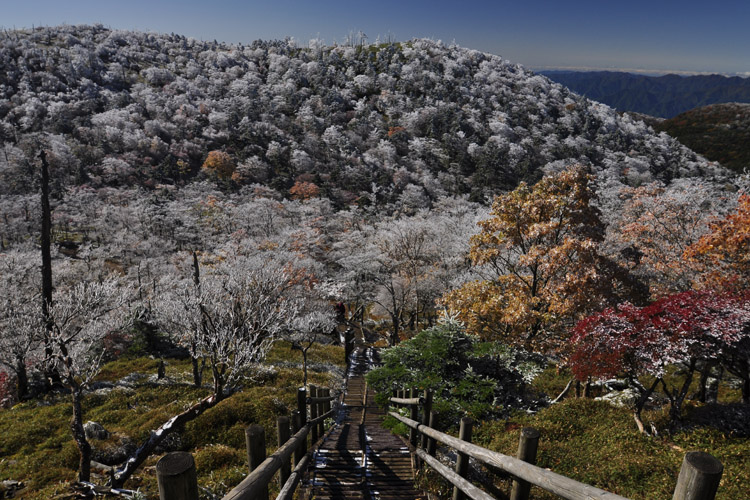 紅葉と樹氷が見事な大台ヶ原