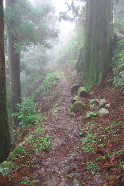 大峯奥駈道・玉置神社横