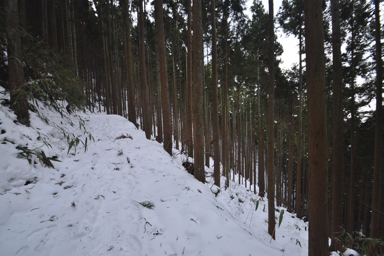 大峯奥駈道・吉野山・金峯神社裏