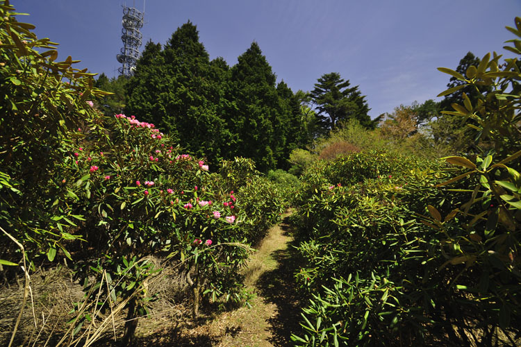 大峯奥駈道・玉置山頂