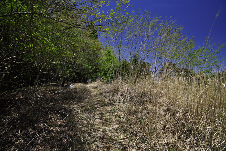 大峯奥駈道・玉置山頂