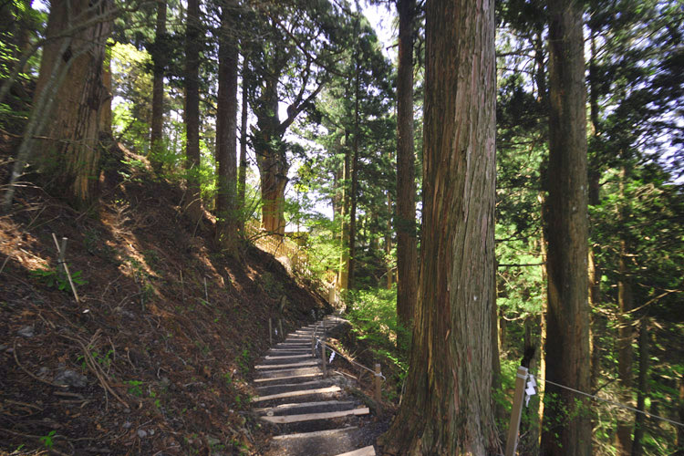 玉置神社参道