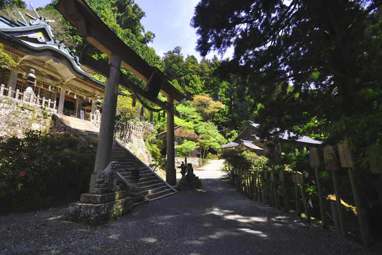 玉置神社・本殿