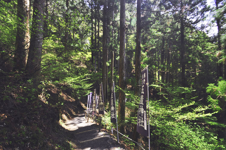 玉置神社参道