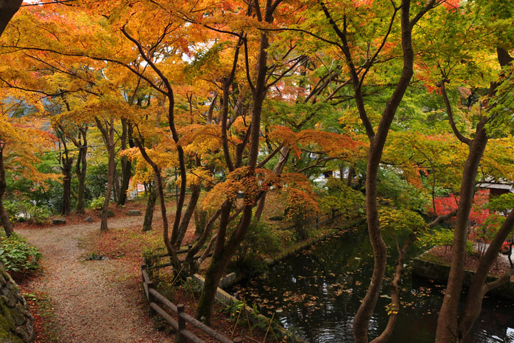 談山神社境内・紅葉