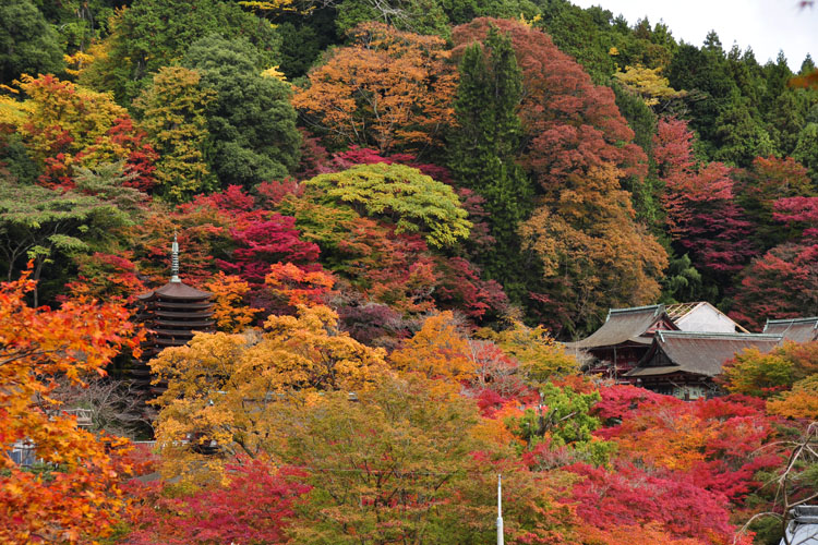 談山神社・紅葉