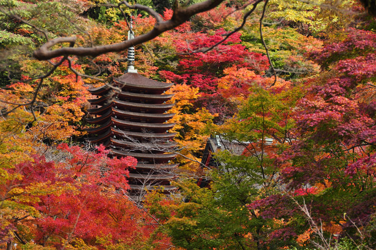 談山神社・紅葉