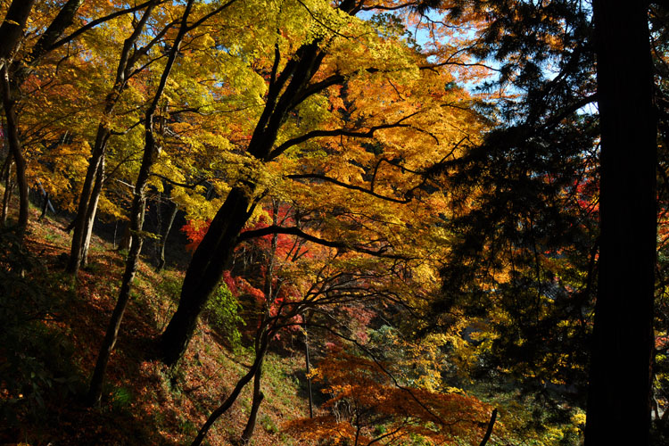 談山神社境内・紅葉