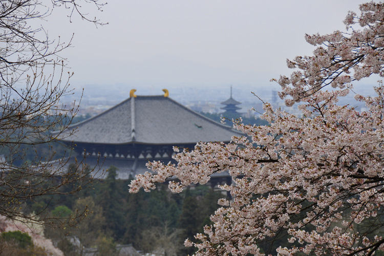 東大寺大仏殿