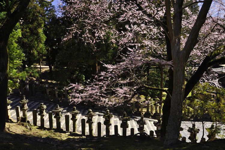 東大寺・境内