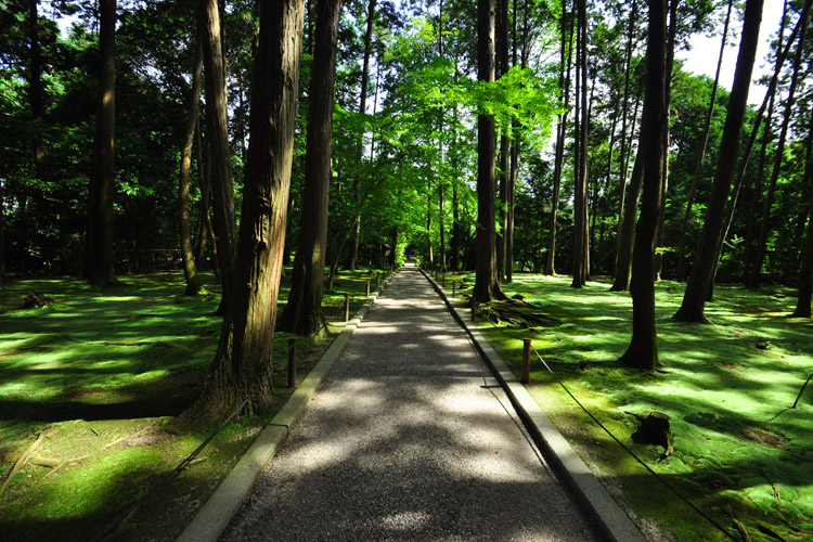 唐招提寺・御廟前の庭