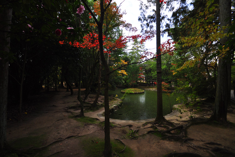 唐招提寺・境内