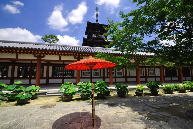 薬師寺・東回廊ごしに見る東塔