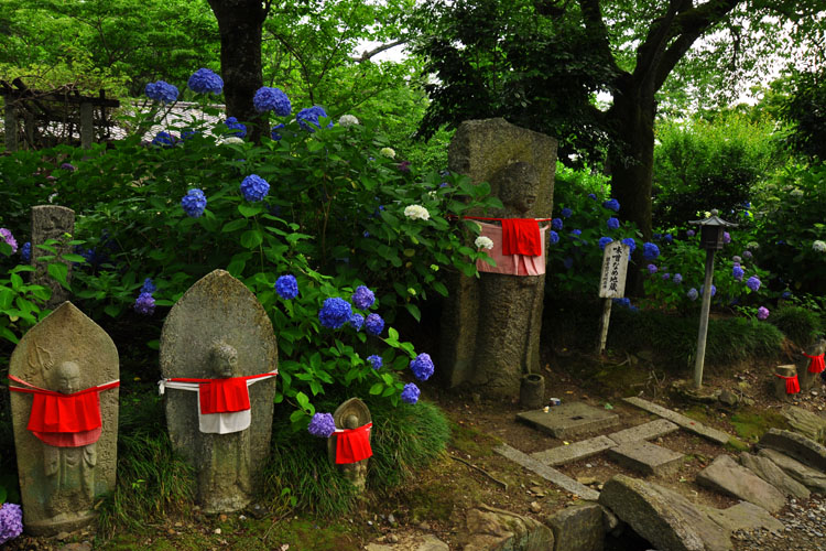 矢田寺・地蔵