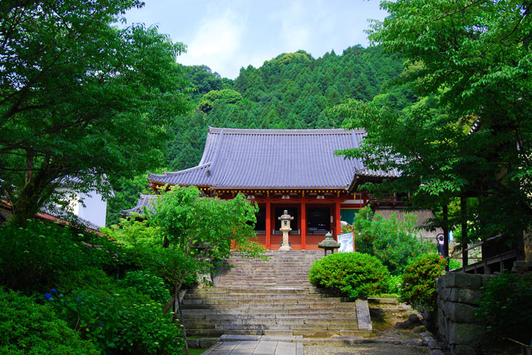 矢田寺・本堂