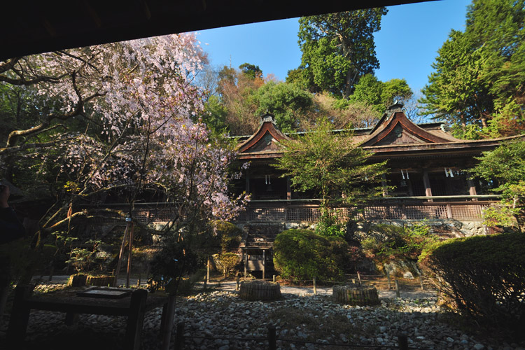 吉野水分神社・本殿