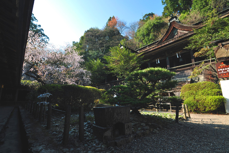 吉野水分神社境内