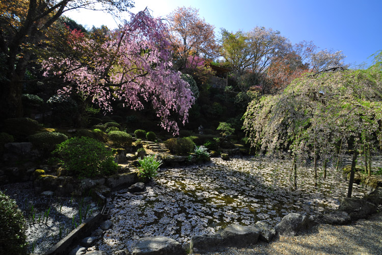 吉野山・竹林院の群芳園