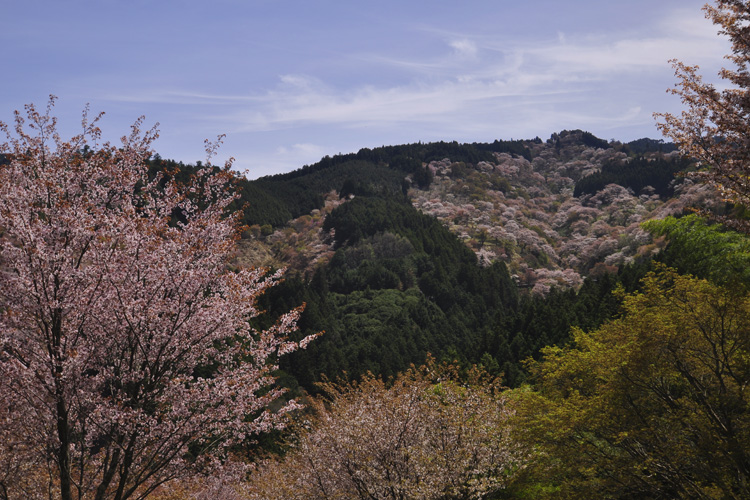 吉野山・中千本