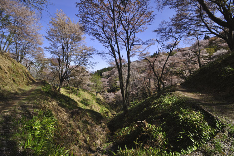 吉野山・中千本