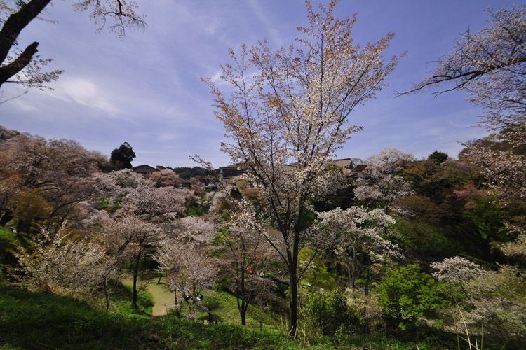 吉野山・中千本