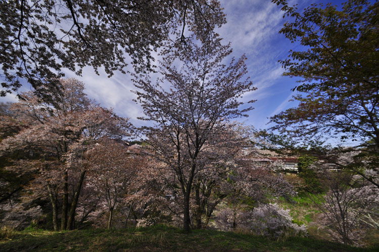 吉野山・中千本