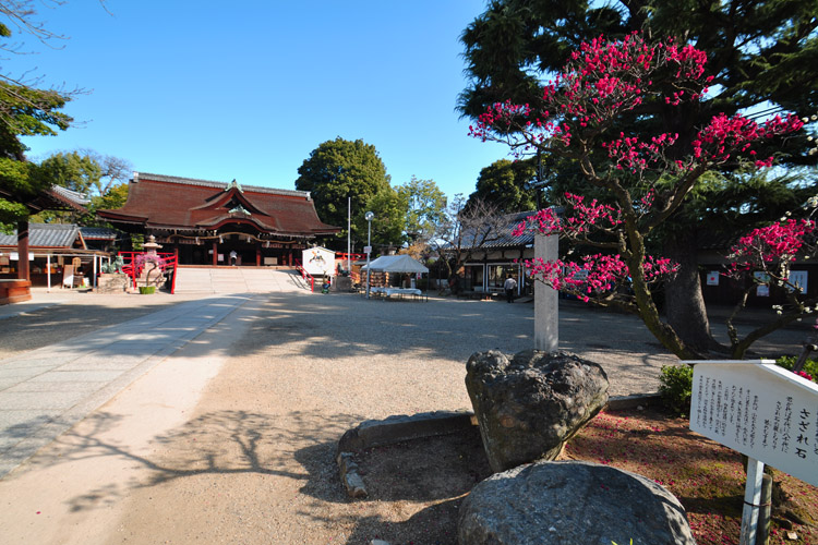 道明寺天満宮・境内