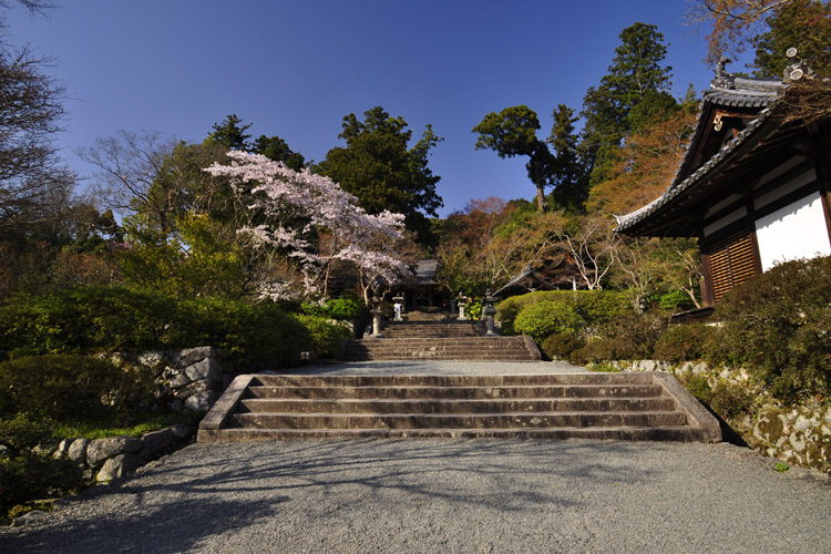 観心寺・境内