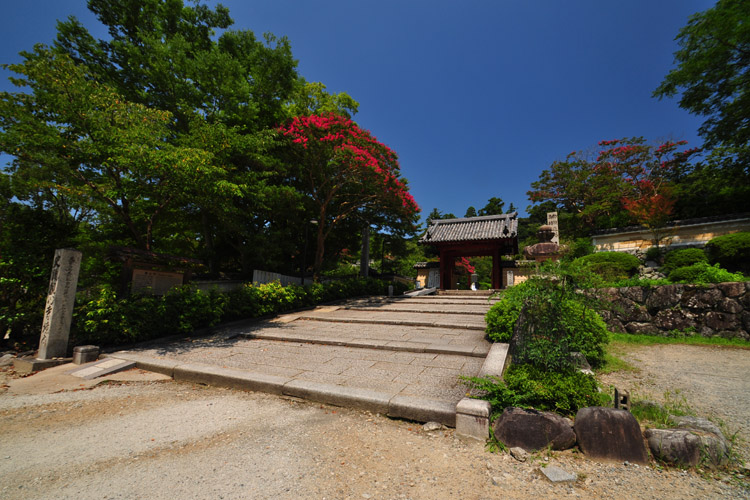 観心寺・門