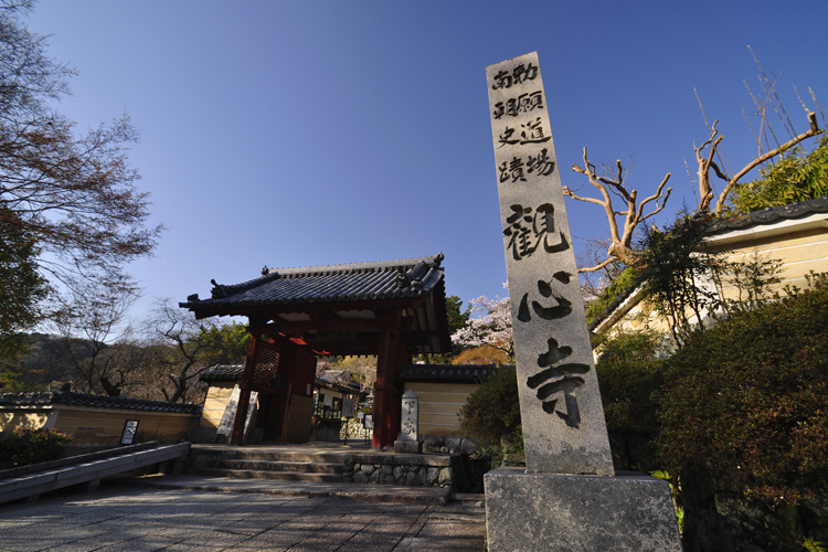 観心寺・門