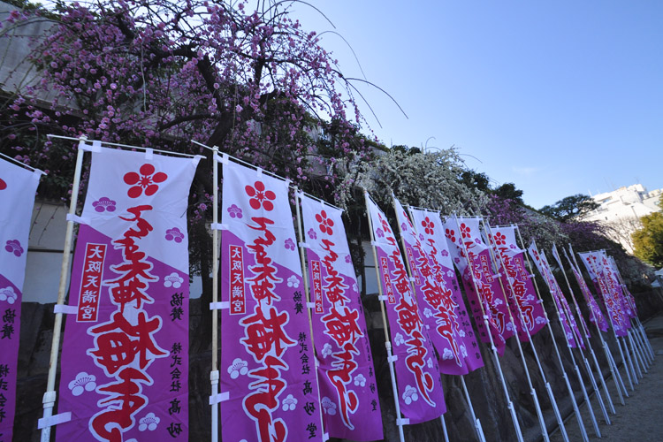 大阪天満宮・梅まつり