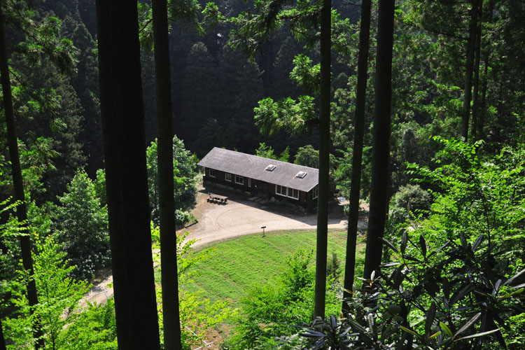 山燈火の景色