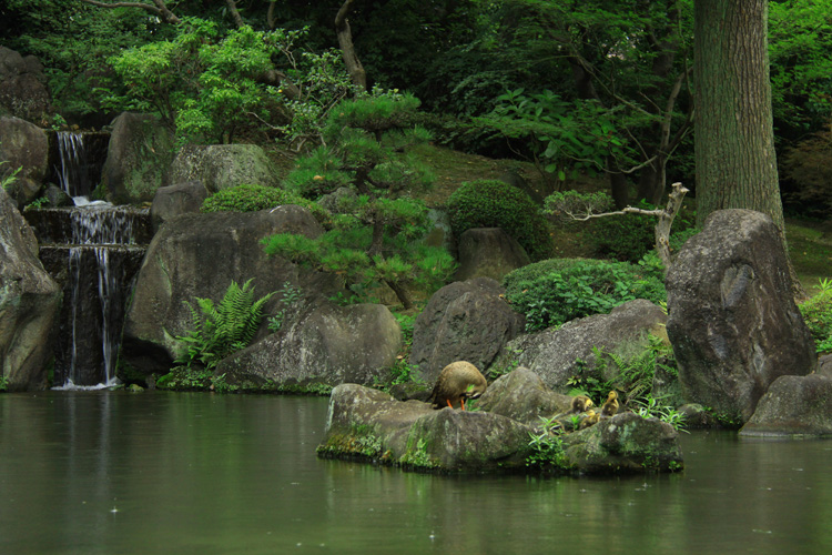 瑠璃光の池