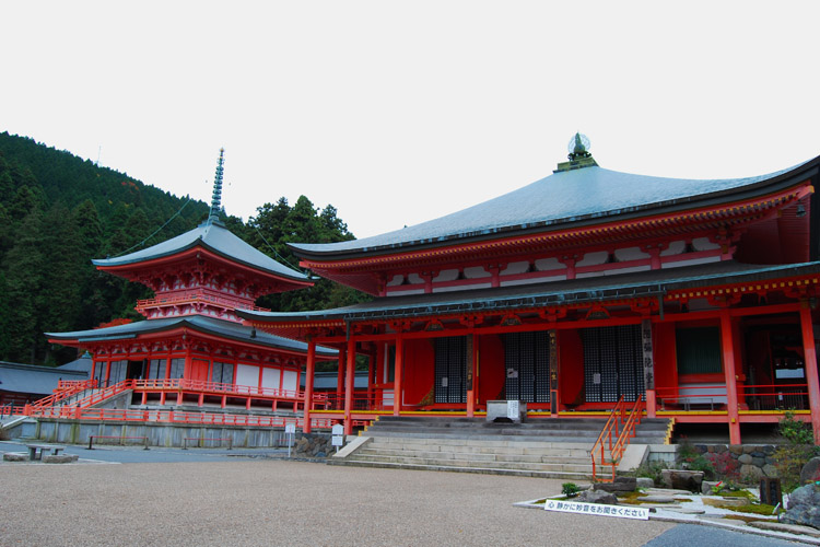 東塔と阿弥陀堂
