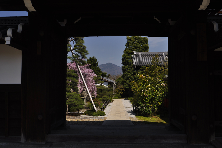 天寧寺・額縁門