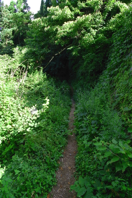 高野山・町石道