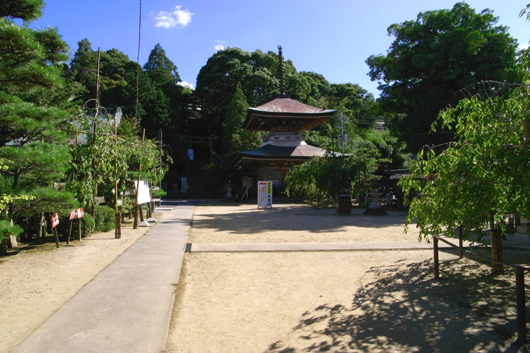 慈尊院・境内