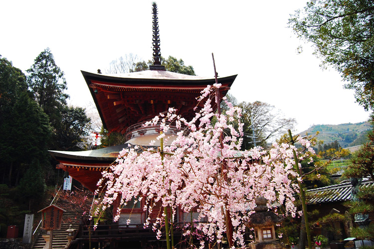 慈尊院・多宝塔