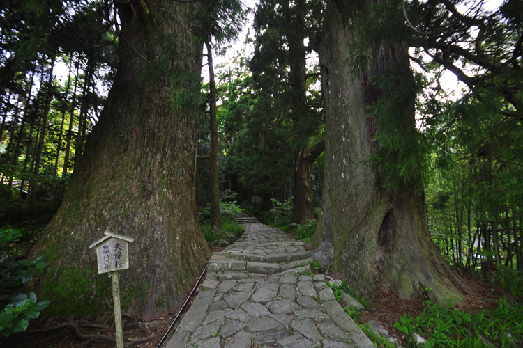 中辺路・大門坂