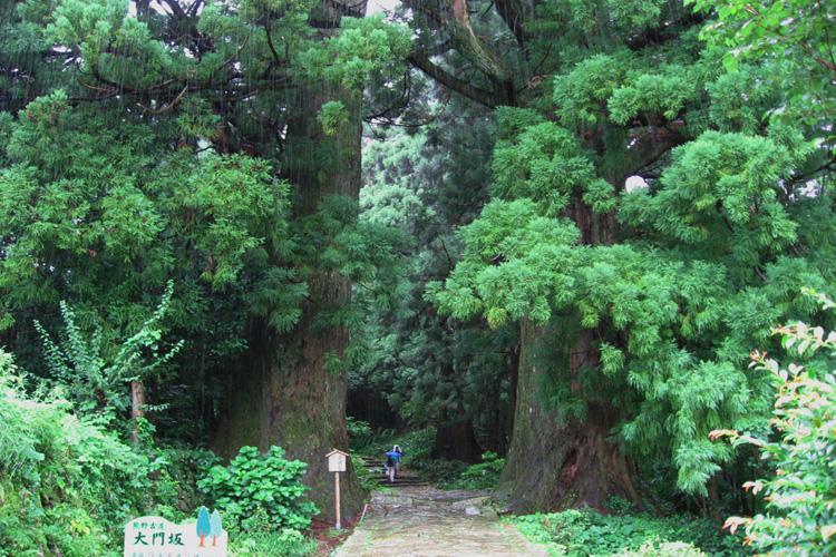 中辺路・大門坂