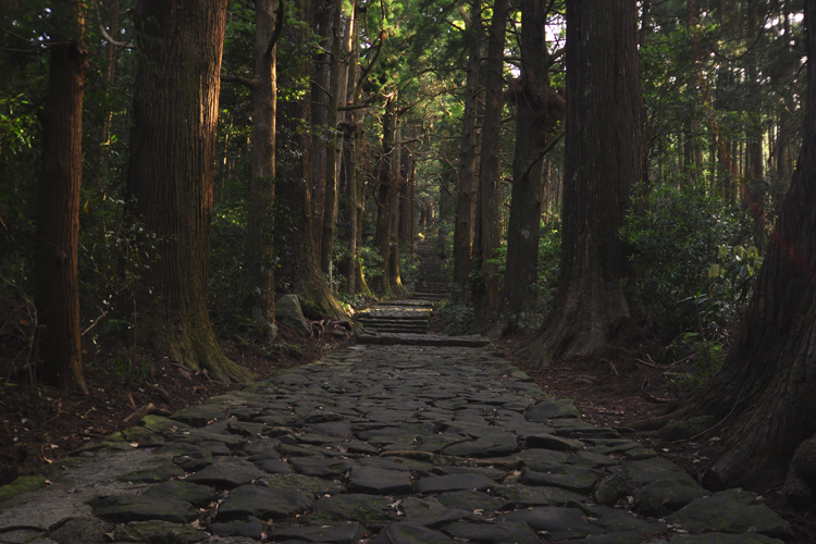 中辺路・大門坂