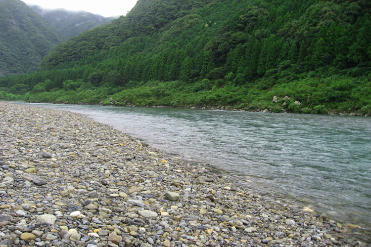 中辺路・熊野川