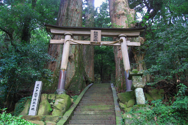 中辺路・野中の一方杉・継桜王子