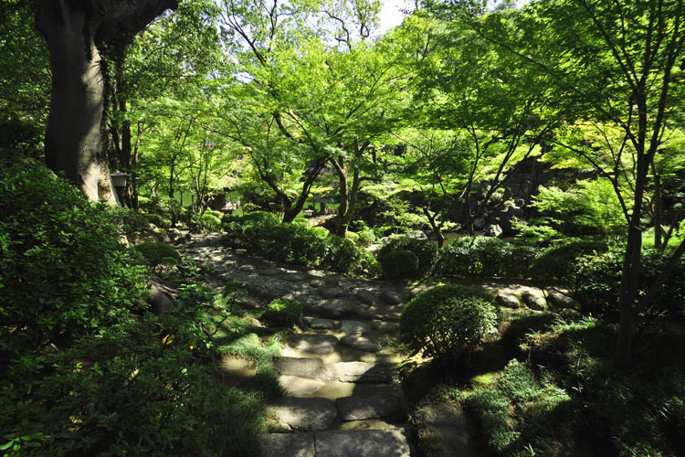 和歌山城・西の丸庭園・紅葉渓庭園
